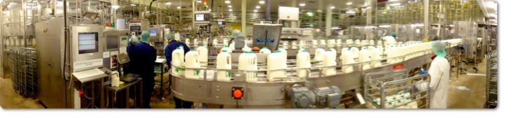 Milk Line Bearings