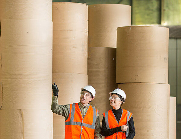 paper factory worker with a consultant